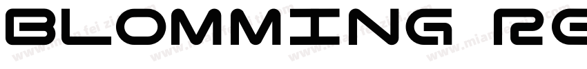 Blomming Regular字体转换